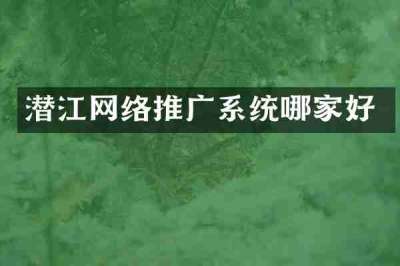 潜江网络推广系统哪家好