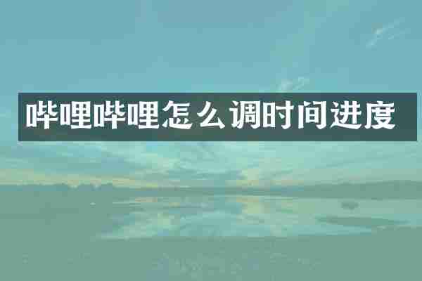 哔哩哔哩怎么调时间进度