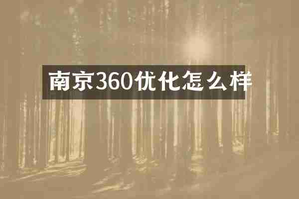南京360优化怎么样