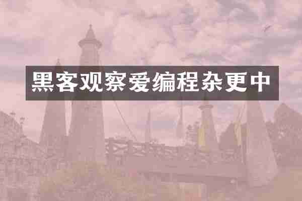 黑客观察爱编程杂更中