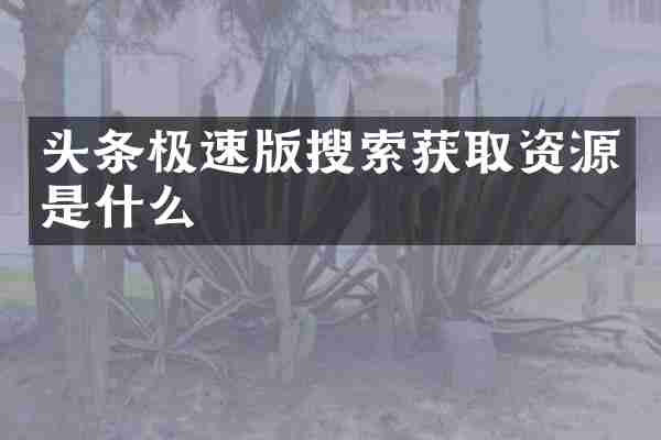 头条极速版搜索获取资源是什么