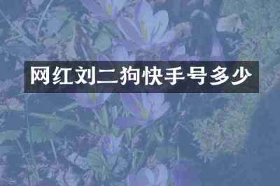 网红刘二狗快手号多少