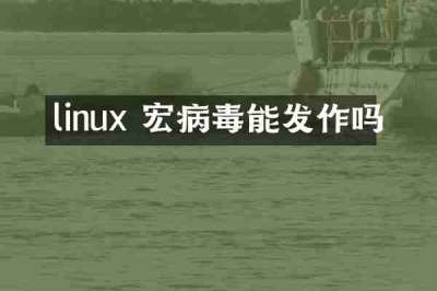 linux 宏病毒能发作吗
