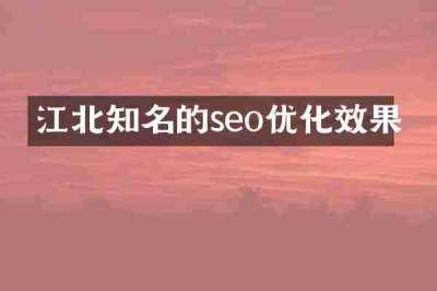 江北知名的seo优化效果