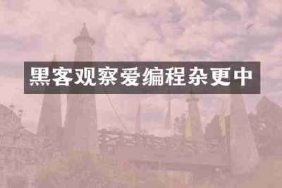 黑客观察爱编程杂更中