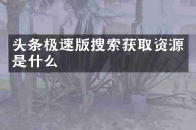 头条极速版搜索获取资源是什么