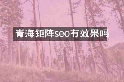 青海矩阵seo有效果吗