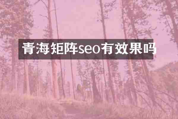 青海矩阵seo有效果吗
