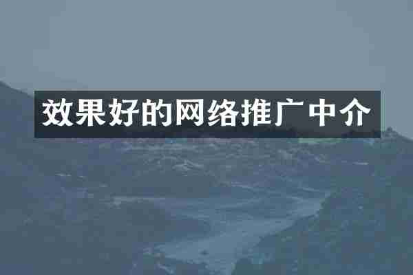 效果好的网络推广中介