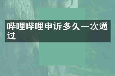 哔哩哔哩申诉多久一次通过