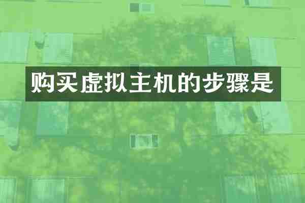 购买虚拟主机的步骤是