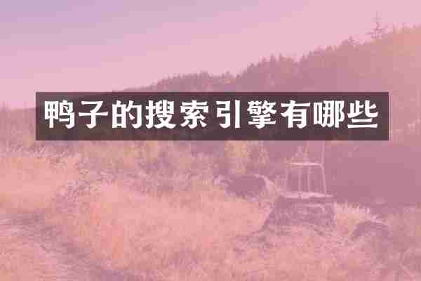 鸭子的搜索引擎有哪些