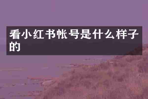 看小红书帐号是什么样子的