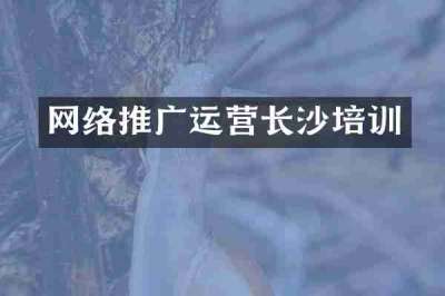 网络推广运营长沙培训