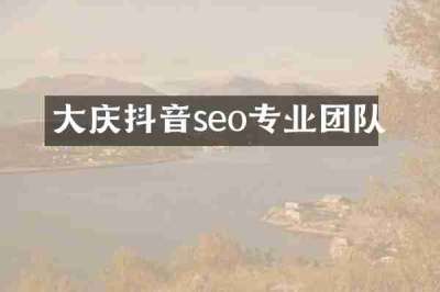 大庆抖音seo专业团队