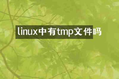 linux中有tmp文件吗