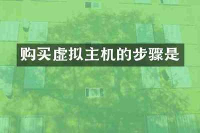 购买虚拟主机的步骤是