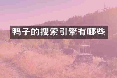 鸭子的搜索引擎有哪些