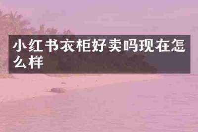 小红书衣柜好卖吗现在怎么样