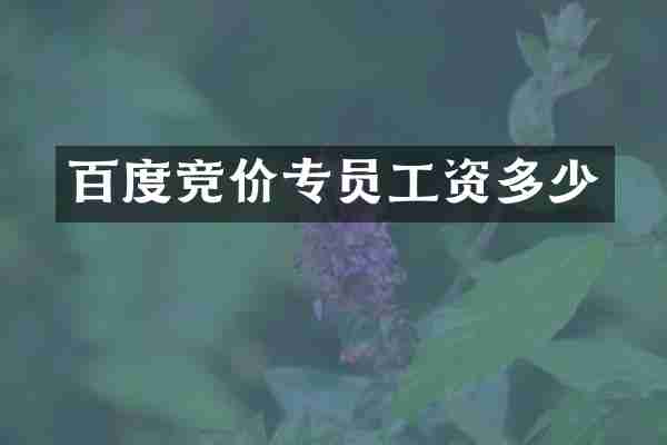 百度竞价专员工资多少