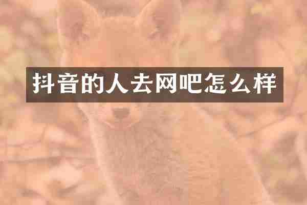 抖音的人去网吧怎么样