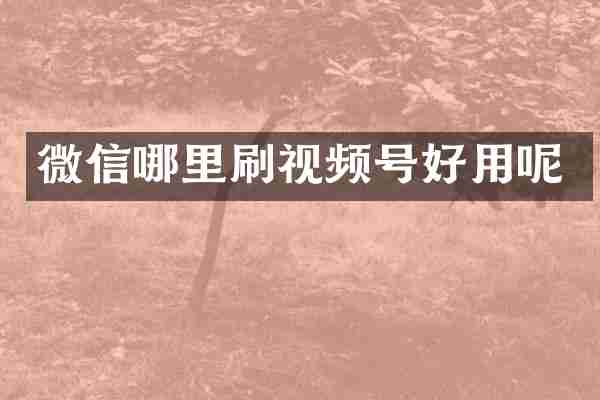 微信哪里刷视频号好用呢