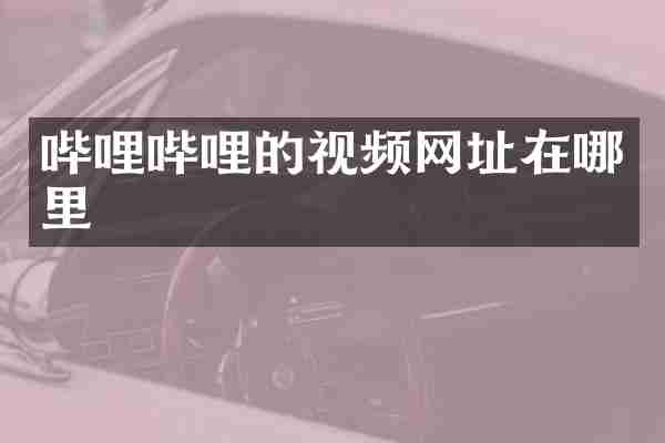 哔哩哔哩的视频网址在哪里
