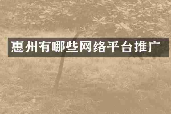 惠州有哪些网络平台推广