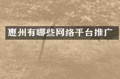 惠州有哪些网络平台推广