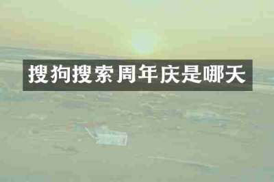 搜狗搜索周年庆是哪天