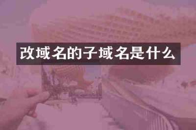 改域名的子域名是什么