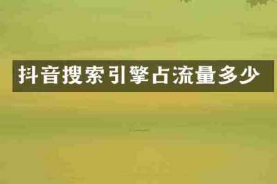 抖音搜索引擎占流量多少