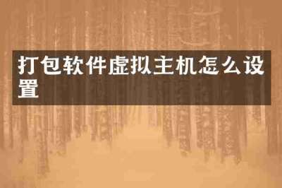 打包软件虚拟主机怎么设置