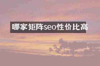 哪家矩阵seo性价比高