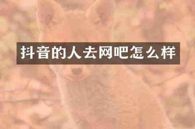 抖音的人去网吧怎么样