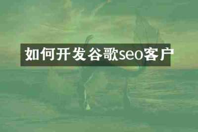 如何开发谷歌seo客户