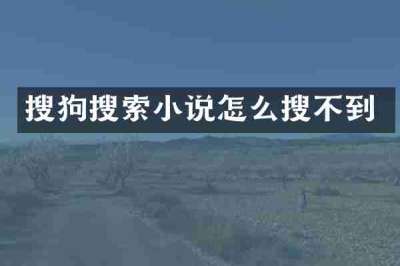 搜狗搜索小说怎么搜不到
