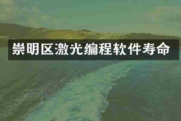 崇明区激光编程软件寿命