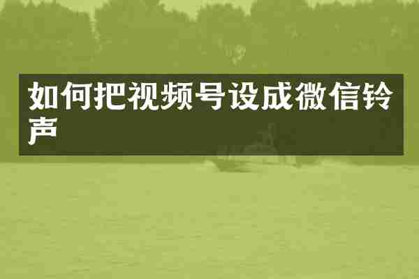 如何把视频号设成微信铃声