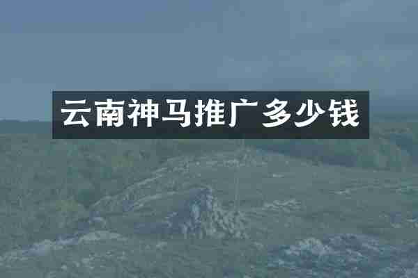 云南神马推广多少钱