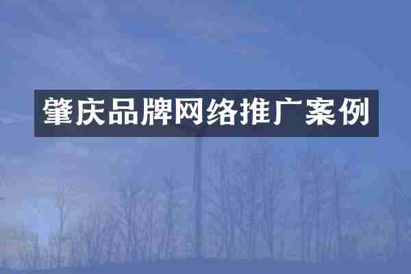 肇庆品牌网络推广案例