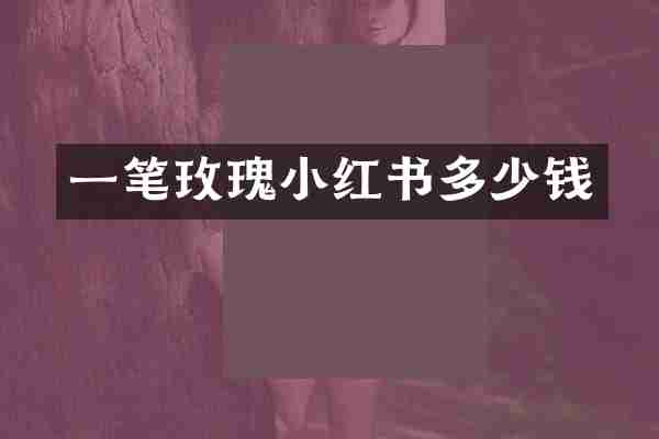 一笔玫瑰小红书多少钱