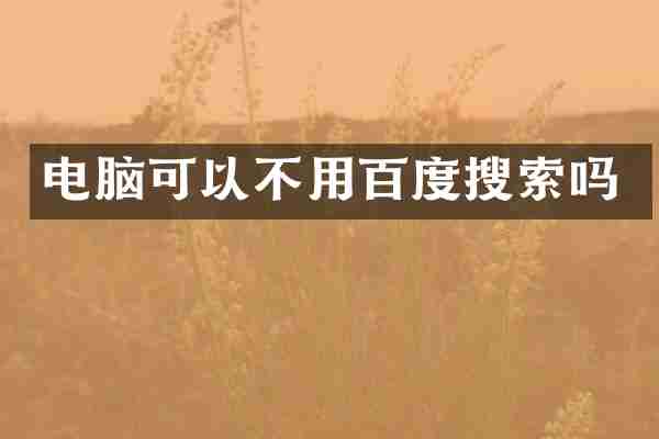 电脑可以不用百度搜索吗