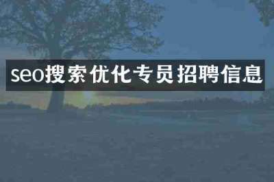seo搜索优化专员招聘信息