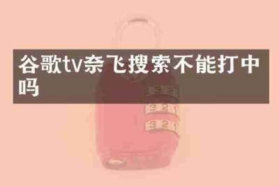 谷歌tv奈飞搜索不能打中文吗