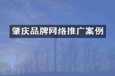 肇庆品牌网络推广案例