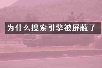 为什么搜索引擎被屏蔽了