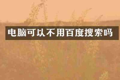 电脑可以不用百度搜索吗