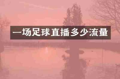 一场足球直播多少流量