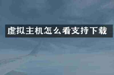 虚拟主机怎么看支持下载